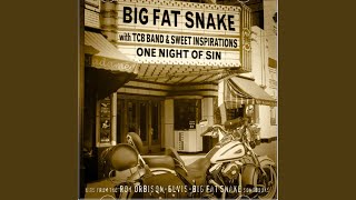 Video thumbnail of "Big Fat Snake - See See Rider"