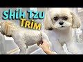 NEW Way to GROOM your SHIH TZU STEP by STEP INSTRUCTIONS