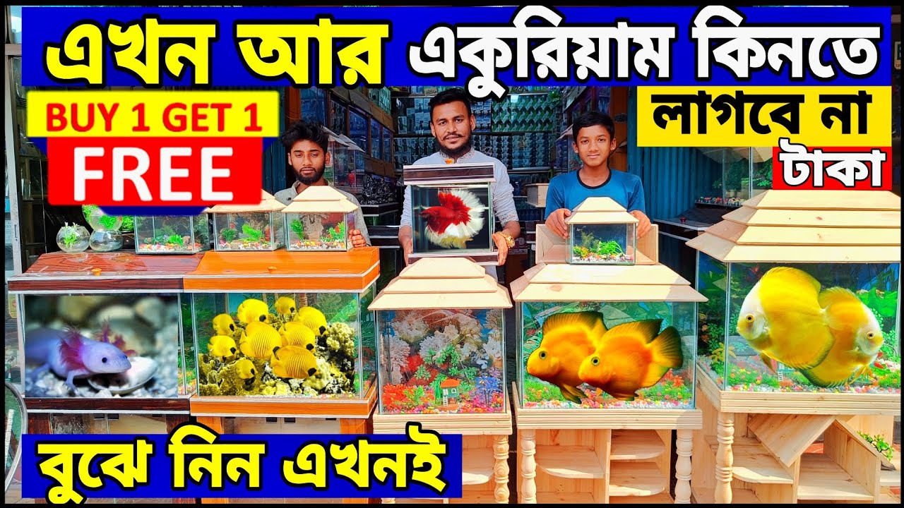 Aquarium Price In Bangladesh। Aquarium Fish Price In katabon। Aquarium
