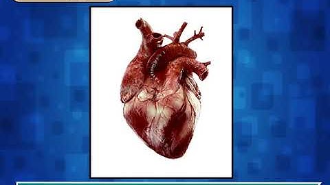 Incredible Science Class 4-Chapter 3-Page Number 30