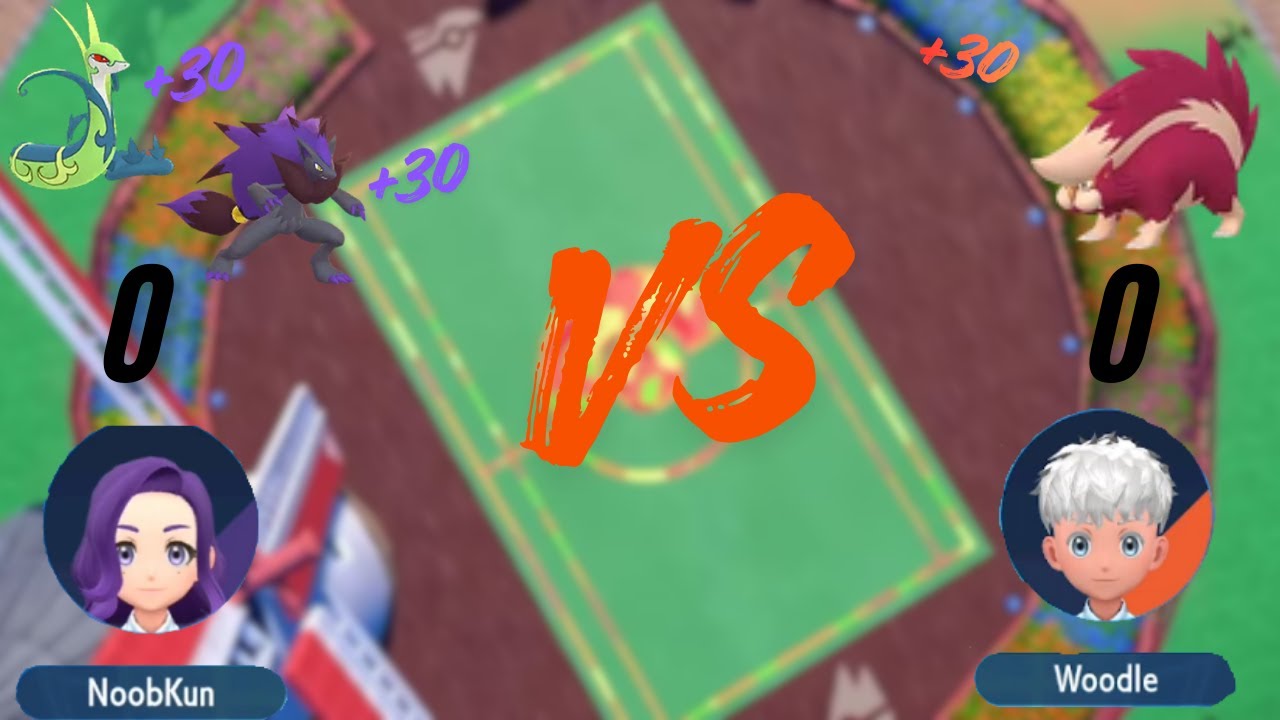 We Choose our randomised starters then randomly assign them new types.