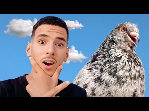 الوحش لاباتشي رجع اليكم من جديد اجيوا تعرفوا شنو تزادوا عندي جداد في سجنة