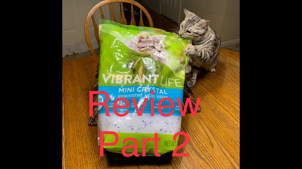 Vibrant Life Crystal Cat Liter Review Part 2 YouTube