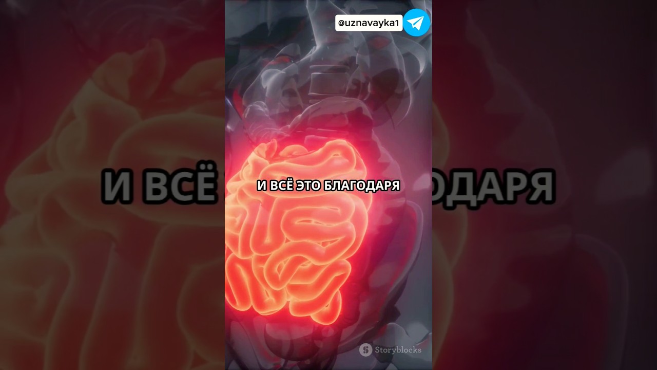 ДЛИННА КИШЕЧНИКА У ЧЕЛОВЕКА 🤔 #медицина #человек #биология #факты