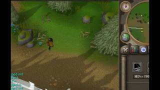 Runescape Glitch - The Noclip Glitch (HD Version)