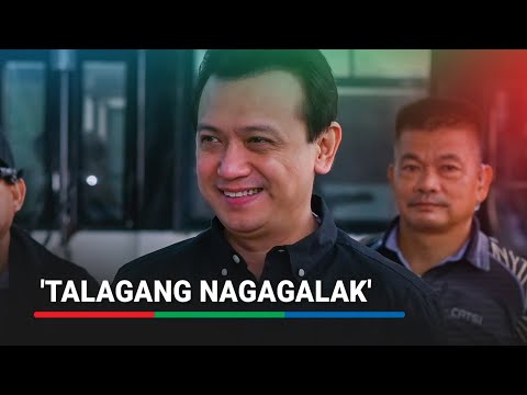Trillanes reacts to Dutertes arrest Trillanes reacts to Dutertes arrest