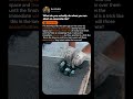 What To Do When You Run Short On Concrete Mix