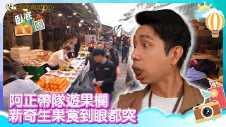 香港旅遊發展局呈獻：臥底服務團｜EP5 PT1｜阿正帶隊遊果欄 新奇生果食到眼都突｜ 李尚正 ｜ 阿正 ｜ 盧頌恩 ｜ 妹頭 ｜ HOY 77