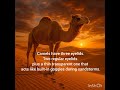 interesting facts about camels 🐪#informative #factshorts #youtubeshorts #TheAiAnthlogy
