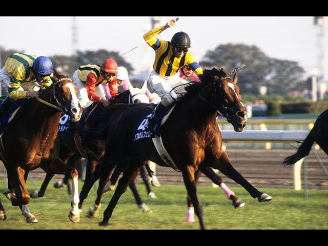 ■現地的中単勝馬券■ バブルガムフェロー 1996年 天皇賞秋 バブルガムフェロー 1996 ジャパンカップ 単勝 馬券 - メルカリ