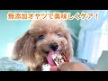 唸る子も黙る美味しさ!乾燥の季節に、無添加おやつで美味しくケアしよ!【肌ケア メディカルスティック hadamo】