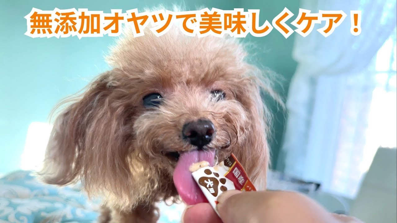 唸る子も黙る美味しさ！乾燥の季節に、無添加おやつで美味しくケアしよ！【肌ケア メディカルスティック hadamo】