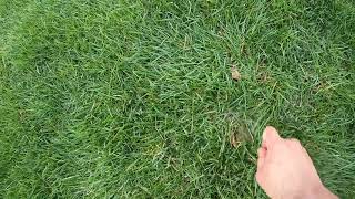 How to find a buried sprinkler