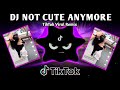 DJ NOT CUTE ANYMORE X LATEST VIRAL TREND (TIKTOK BUDOTS REMIX) 2026