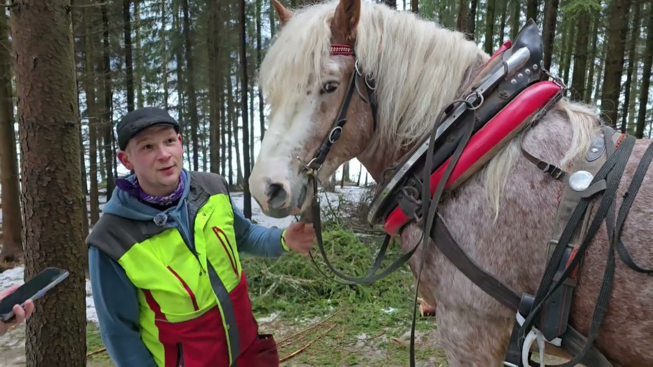 Hlasy Broumovska: Spoléhám sám na sebe a svého koně, říká Jan Vlach