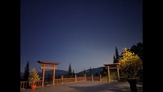 NIKAYA Thiền Quán - Chiếc Lá Vàng Rơi 3