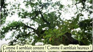 Le grand chêne de Brassens