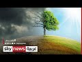 تغير المناخ جهود دولة الإمارات 28