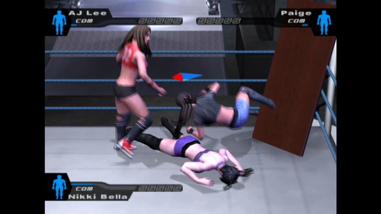 Aj lee vs Paige vs Nikki Bella | HCTP