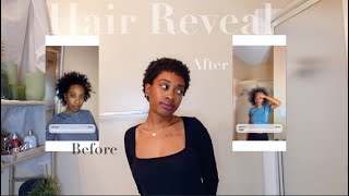 TWA Wash Day + Hair Reveal After My Big Chop!