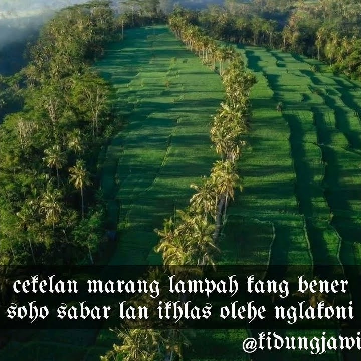 story wa 30 detik kidung jawa