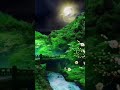 الغابة ليلا موسيقى هادئة طبيعة جميلة فيديو قصير Shorts Trending Photography 