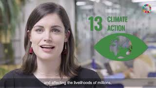 Sdg 13 Climate Action