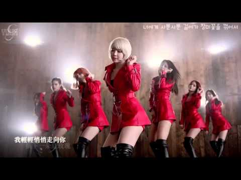 ［繁中韓字］AOA - like a cat (사뿐사뿐) /含認人