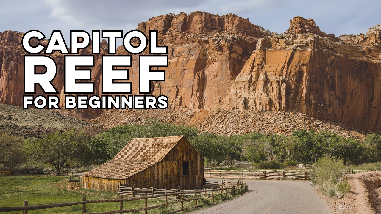 A BEGINNER'S Guide to Capitol Reef National Park