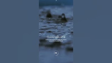 سورة الذاريات_____ سعود الشريم