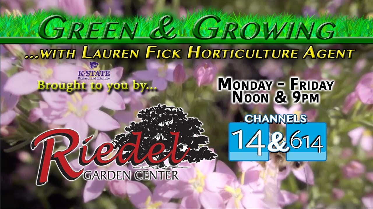 Green & Growing 2020 Euonymus Scale