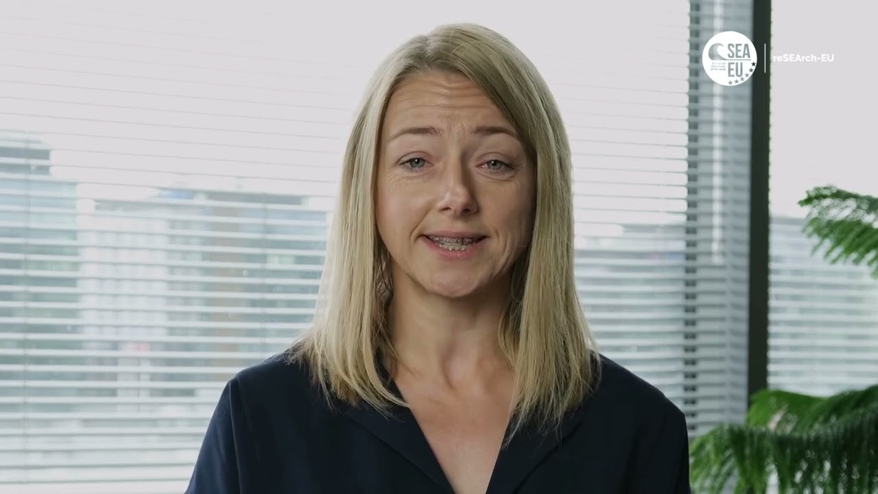 Video Capsules - SEA EU Talent - University of Gdańsk (UG)