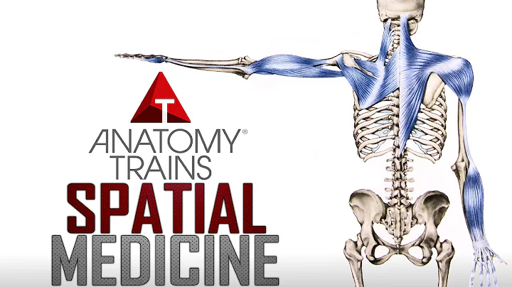Thomas Myers - Spatial Medicine and Aging