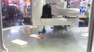 Celebrity Super fast sorting Robot Profile