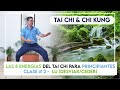 Las 8 Energias del TAI CHI para PRINCIPIANTES- Clase # 2 - Lu (Desviar)