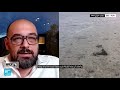 تركيا صمغ مخاط البحر يجتاح بحر مرمرة تركيا صمغ مخاط البحر يجتاح بحر مرمرة