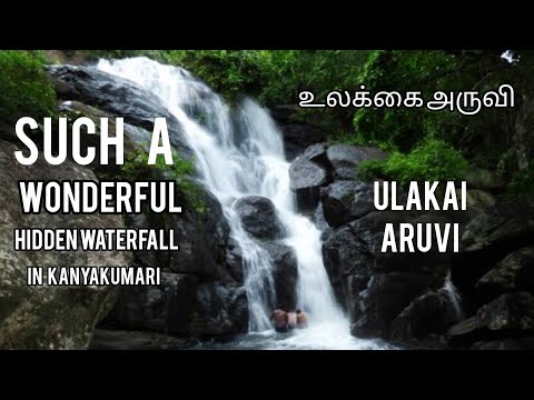 சொர்கம் இங்கே இ௫க்கிறது l இயற்கை அன்னை l Ulakkai aruvi l Hidden waterfalls l kanyakumari l forest