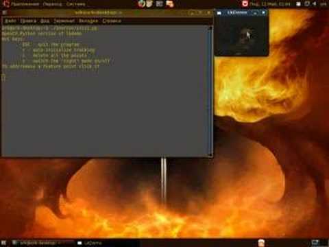Webcam mouse control