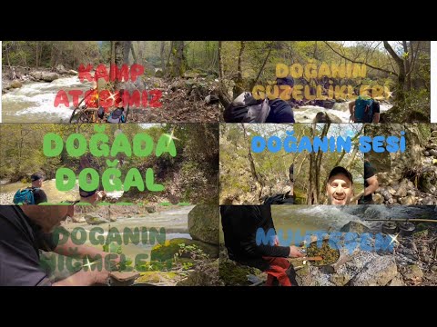 DOĞANIN MUCİZELERİ DOĞAL