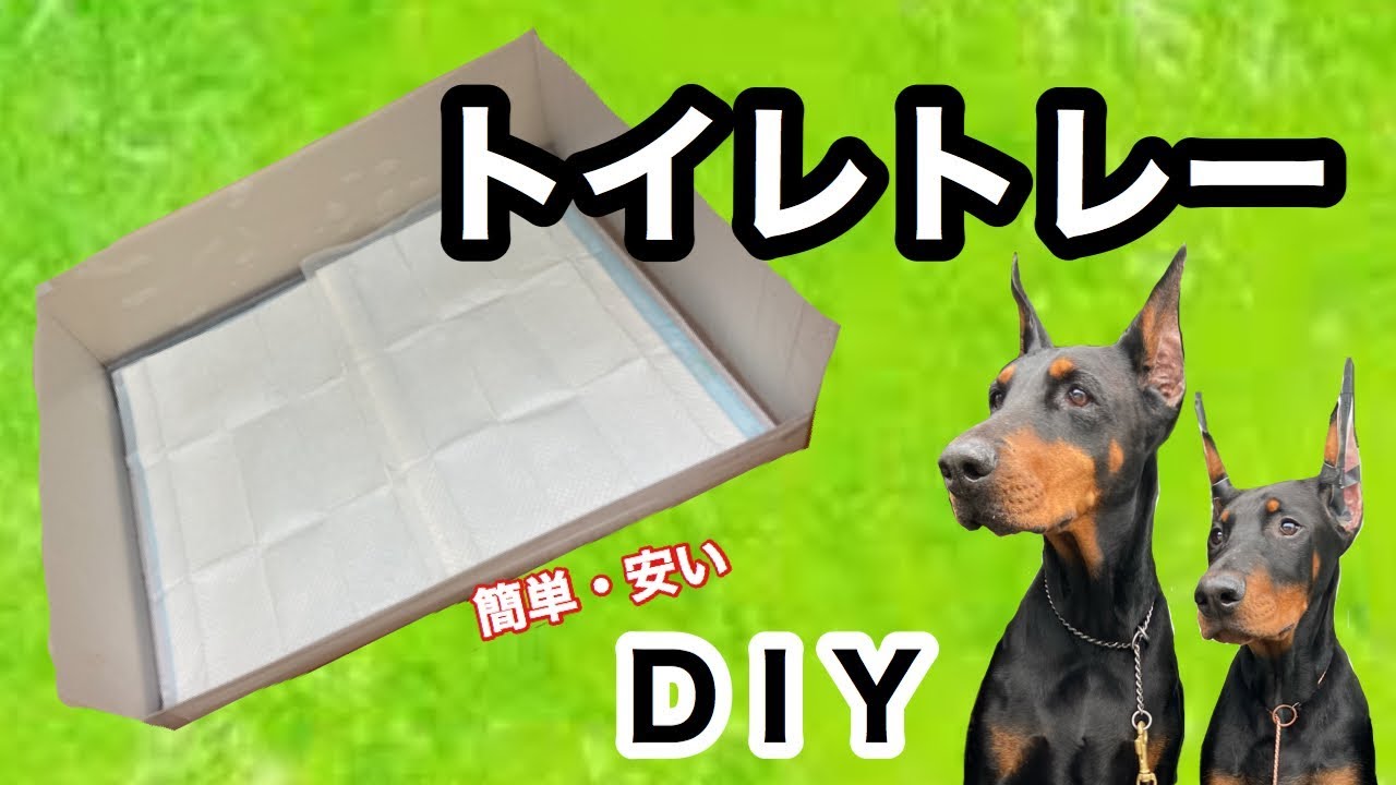 トイレトレー激安diy Doberman Youtube