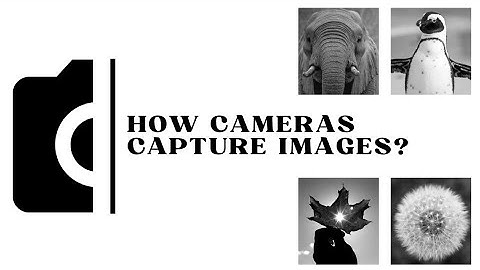 How Cameras Really Capture Light 📸 | The Science Behind Every Photo