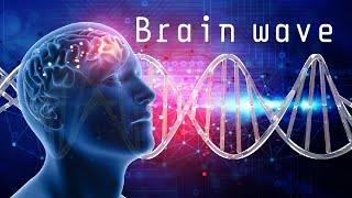 1Hour Brain Wave Music for Deep Focus, Concentration, a Relaxing Study Music, Alpha Wave