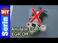 EGR Off - Anulare EGR -- Seat Leon Tuning -- Part 1