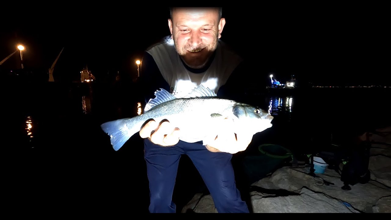 Levrek në Bolognese. 13 Qershor 2022. Fishing Center.