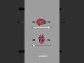 You need this mindset to win 🧠💸📌 🛫 #ielts #english  #foryou #viral #shorts