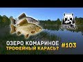 Русская Рыбалка 4 #103 - Озеро Комариное. В поисках карася