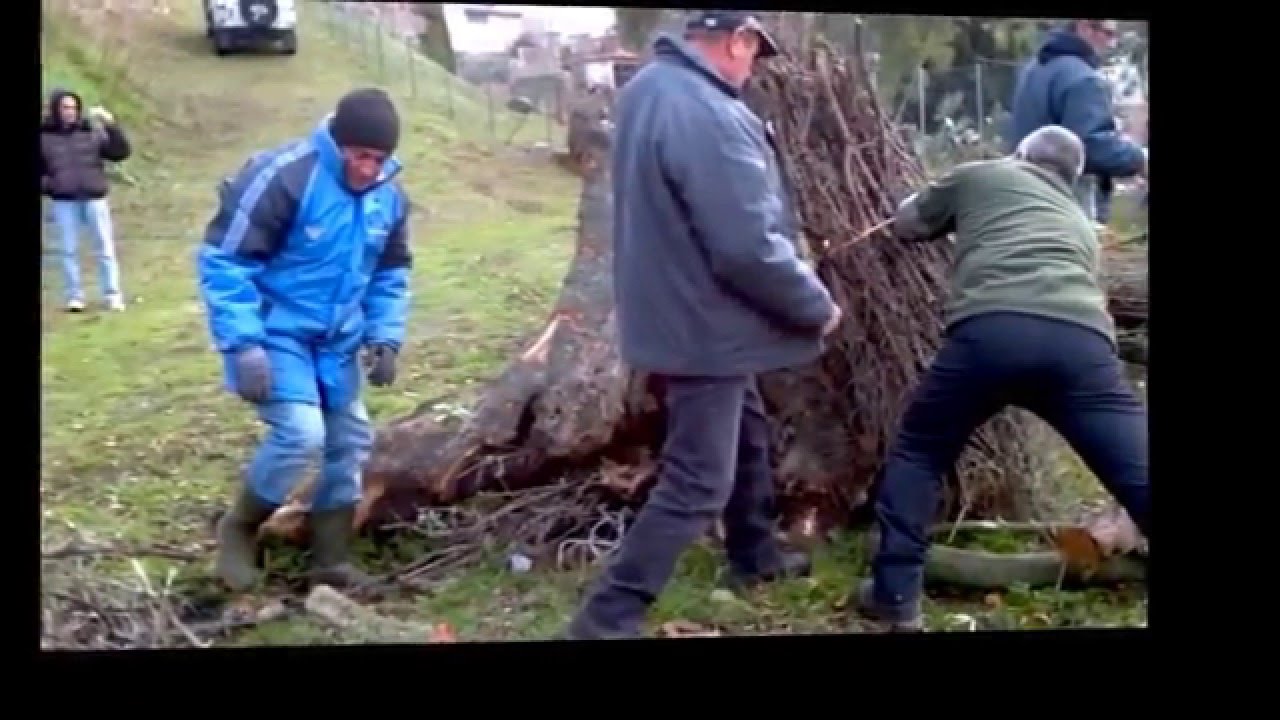 Su Fogu de Sant' Antoni Sorradile 2016