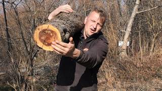 Hamid Babanović - Posla Ima Ali Radnika Nema, Više Para Više I Briga