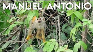 Waterfall Hike with Monkeys and Cliff Jumping in Costa Rica | Cascada El Salto Hike | Manuel Antonio