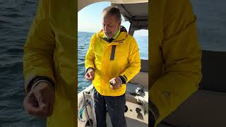 İstanbul Boğazında Çocukluğumdan Beri Av Yaparım Böyle Iri Balık Sezonu Hiç Olmamıştıkofona